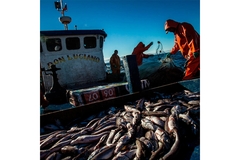 Image People fishing on a boat in the sea.
